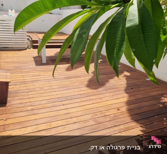 דק עץ עם עלים ירוקים ופרחים לבנים